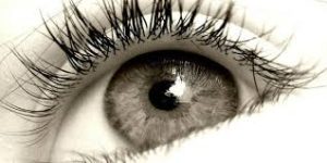 oog